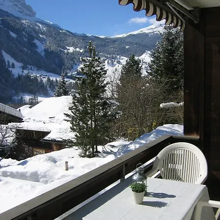 Casa Almis, Grindelwald Apartment Room photo