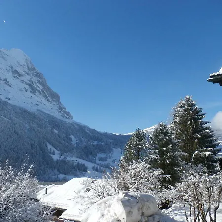 Casa Almis, Grindelwald Apartment Exterior photo