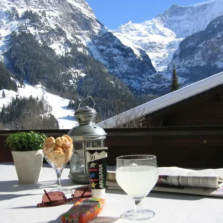 Casa Almis, Grindelwald Apartment Exterior photo