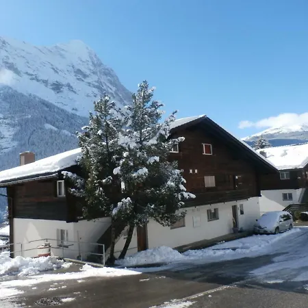 Casa Almis, Grindelwald Apartment Exterior photo