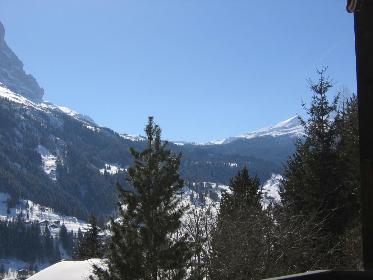 Casa Almis, Grindelwald